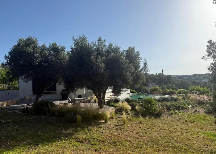 Apartment Mar E Serra