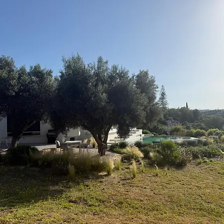 Appartement Mar E Serra